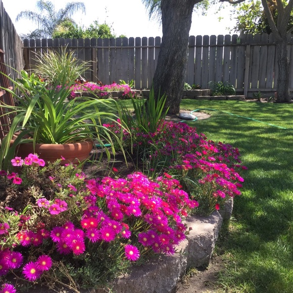 POSHMARK AMBASSADOR II dalialafleur - Picture 9 of 11